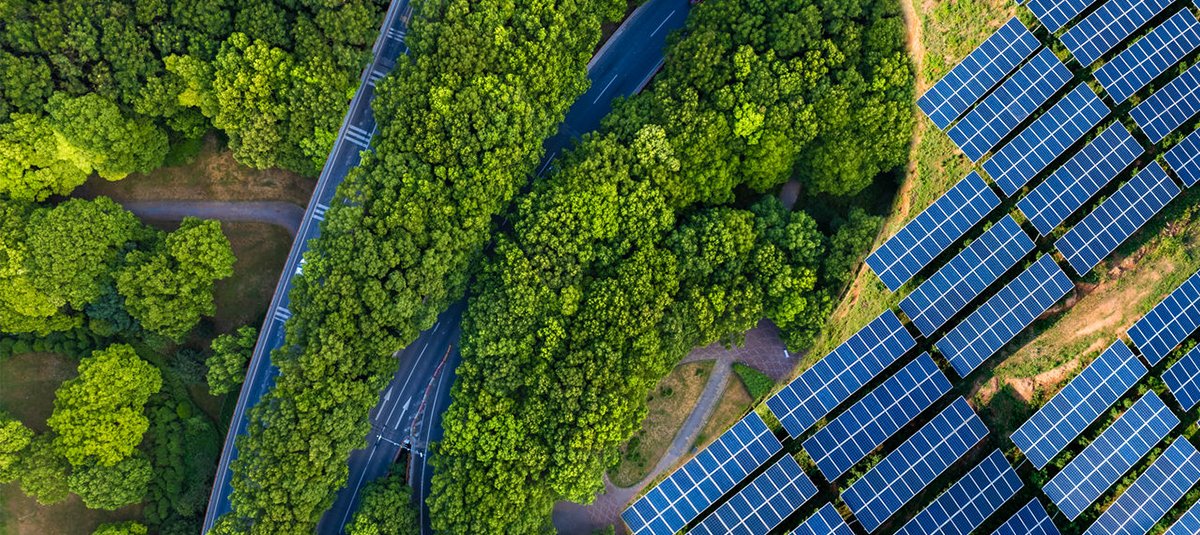 Solar panel in greenery