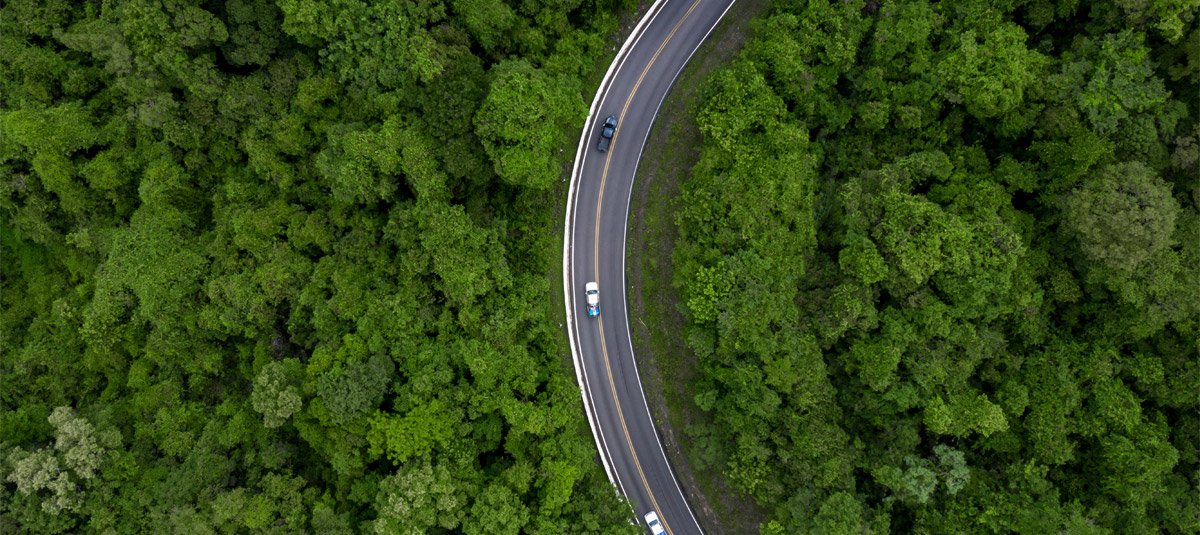 sustainable-investing-forest